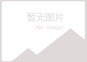 山东夏岚咨询有限公司